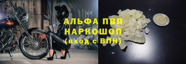 хмурый Богданович