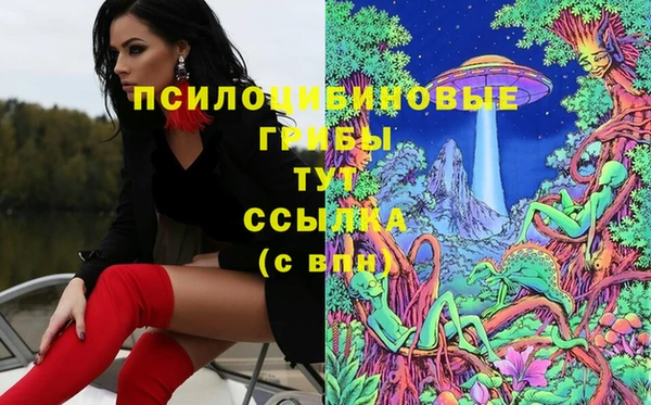 дурь Бородино