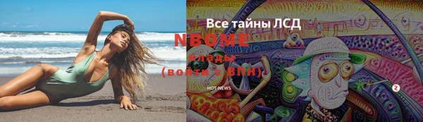 дурь Бородино