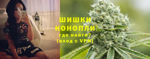 дурь Бородино
