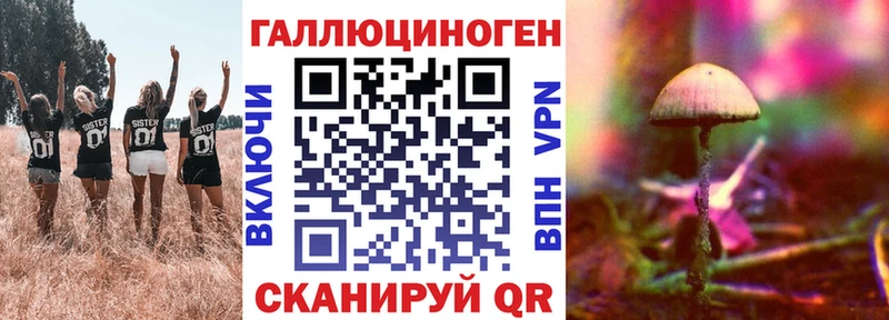 где найти наркотики  Томари  Псилоцибиновые грибы ЛСД 